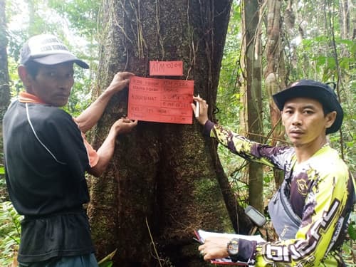 Pasang Hitam