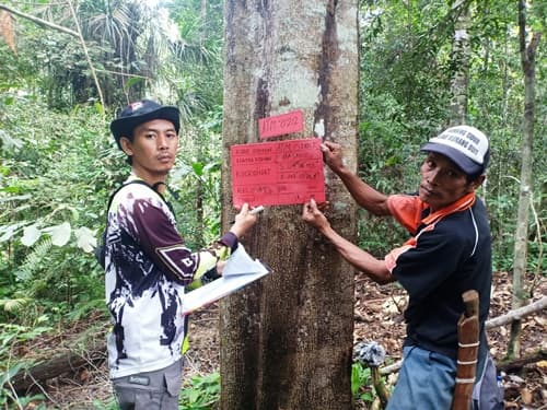 Pasang