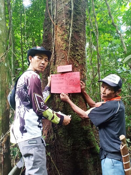 Pasang
