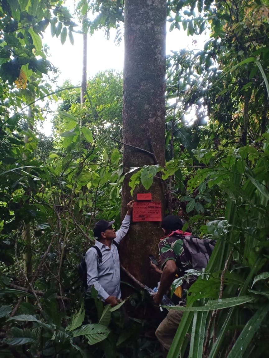 Medang Sangka