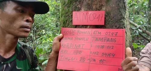 Tampang