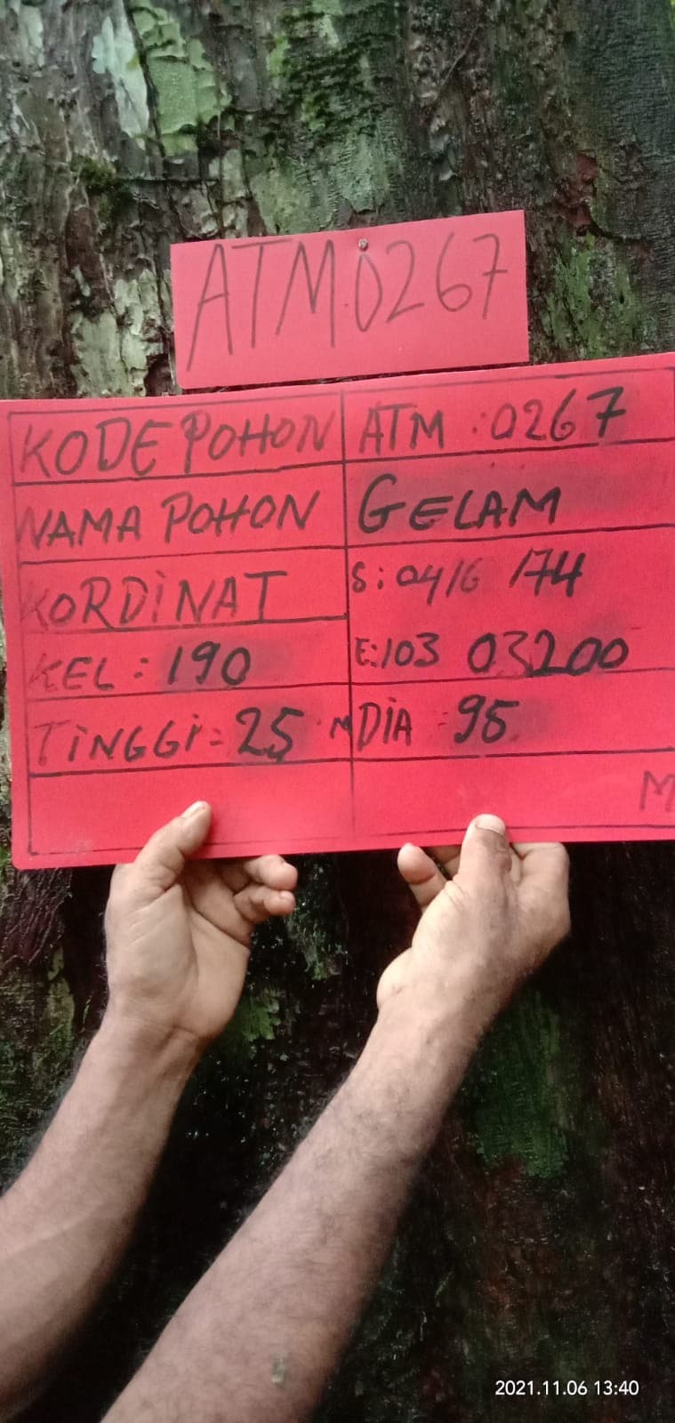 Gelam