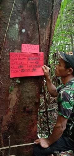 Medang