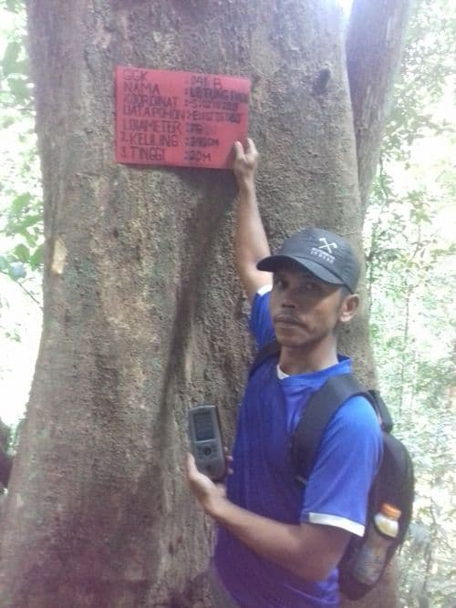 Letung Padi