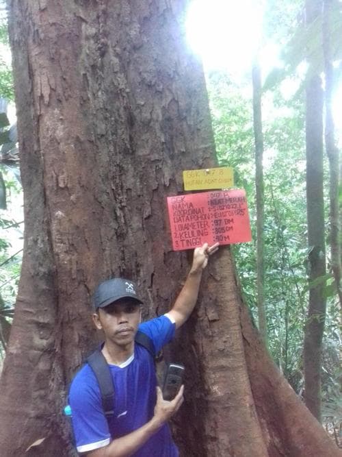 Klat Merah