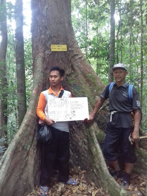 Lasak