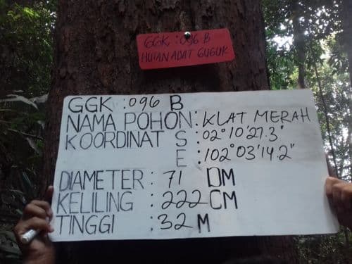 Klat Merah