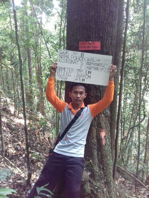 Kulim