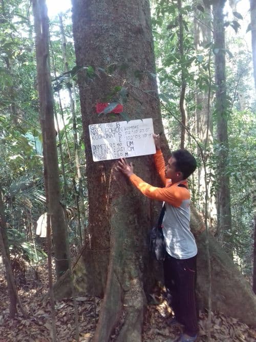 Kompas
