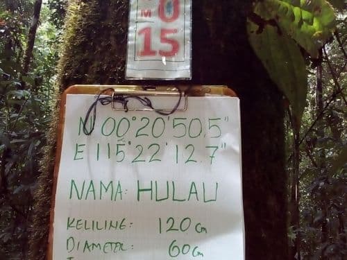 Anggih (hulau)