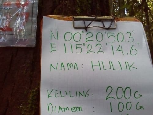 Sendok (huluk)