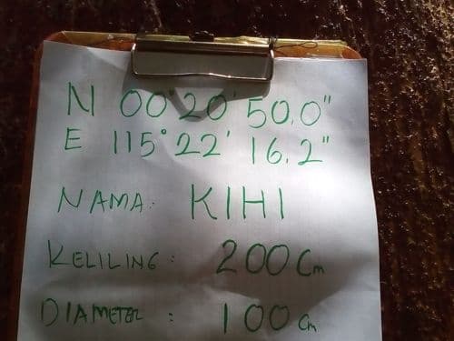 Meranti Putih (kihi)