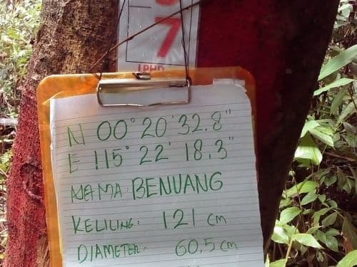 Benuang (benuang)