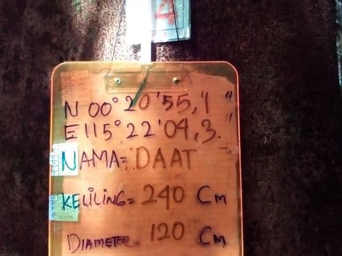 Gelunggang (daat)