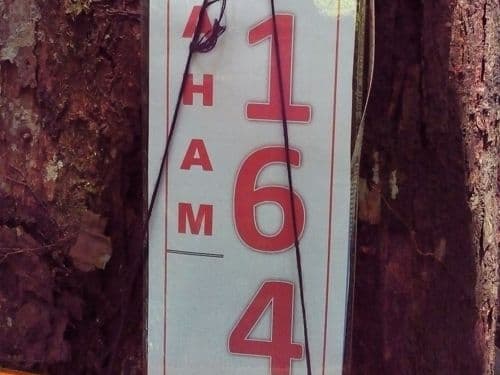 Manggis Hutan