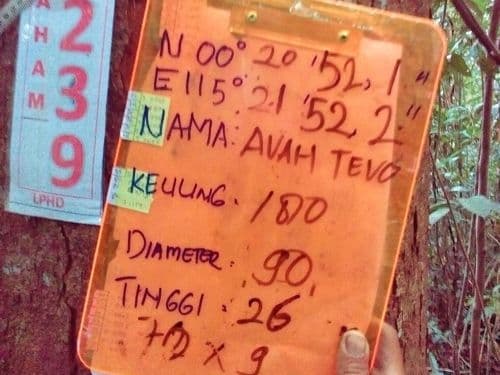 Keruing (uvah tevo)