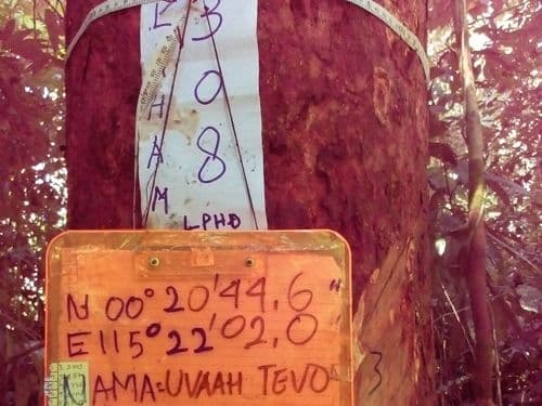 Keruing (uvah tevo)