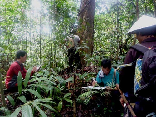 Kelungau
