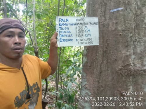 Makudu Buang