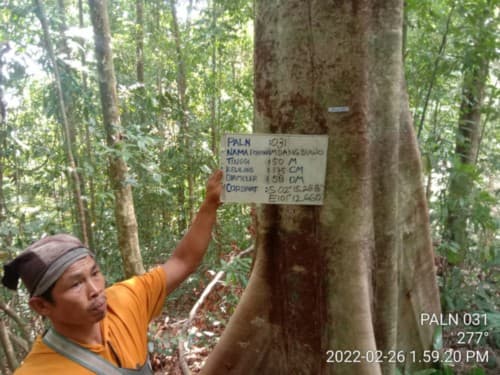Mdang Suwo