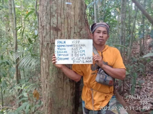 Resak
