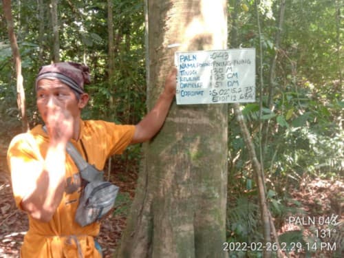 Pening-Pening