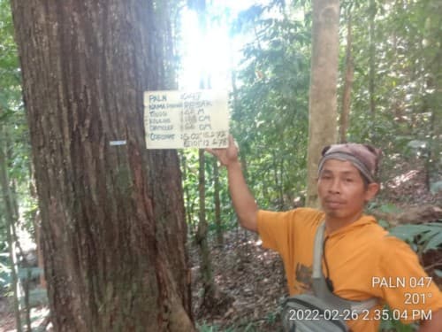 Resak