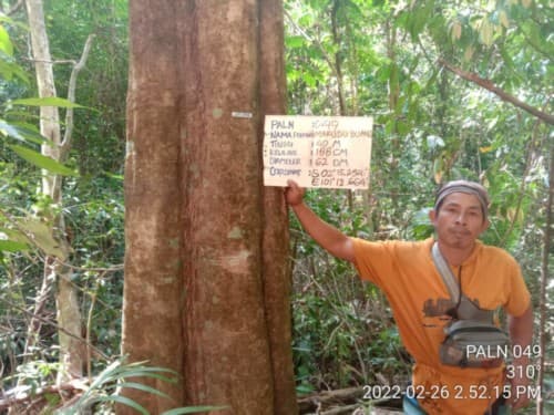 Makudu Buang