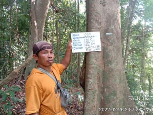 Resak