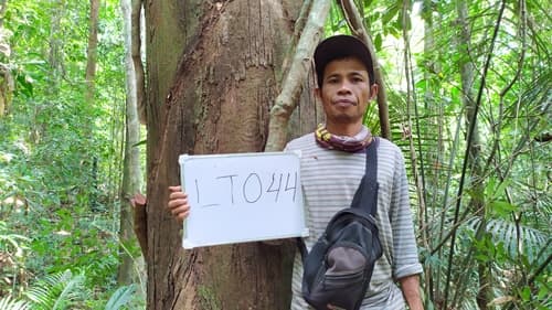 Damar Hitam