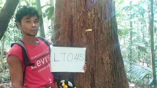 Damar Hitam