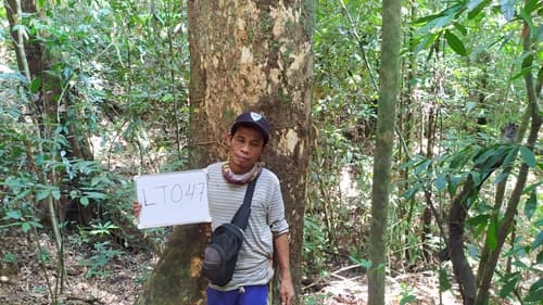 Damar Hitam