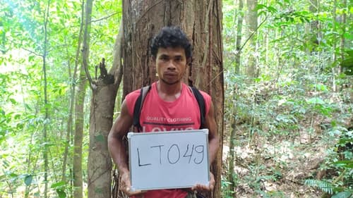 Damar Hitam