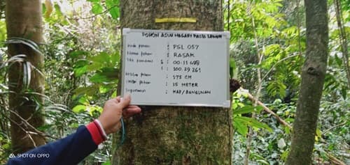 Rasak