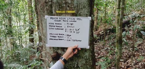 Rasak