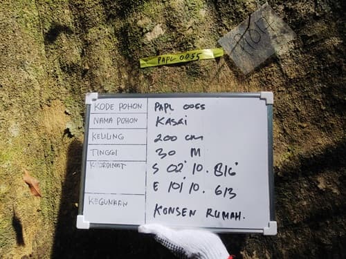 Kasai Talang