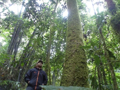 Medang Lembung