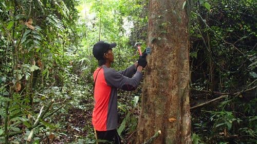 Kelakok