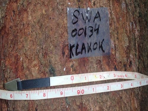 Kelakok
