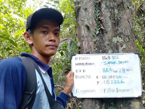 Medang Kunyit