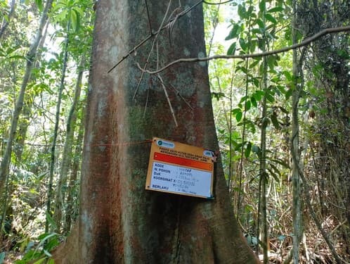 Balam Suntung