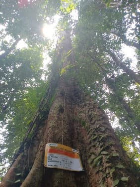 Balam Suntung
