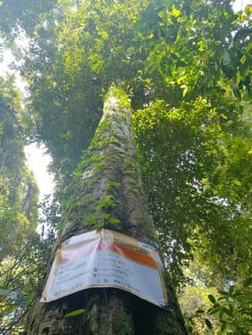 Balam Suntung