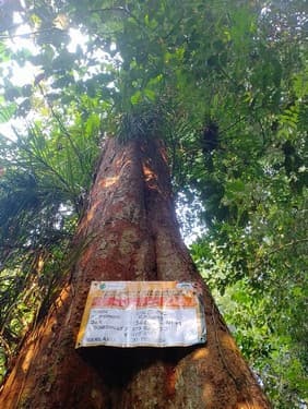 Balam Suntung