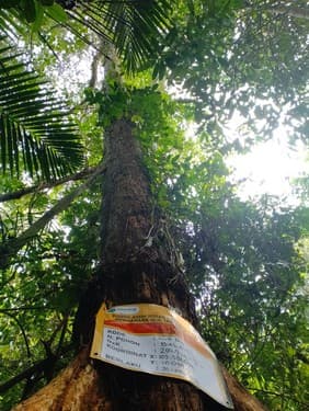Balam Suntung