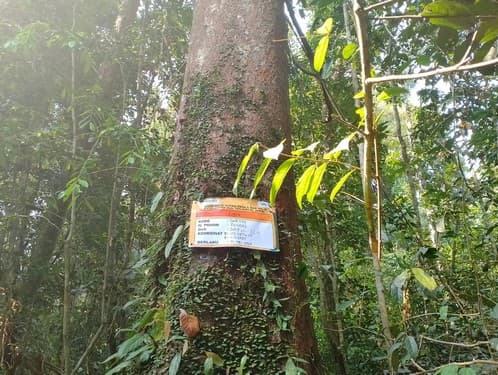 Balam Suntung