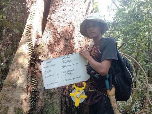 Balam Suntung