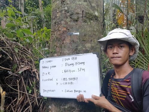 Punak