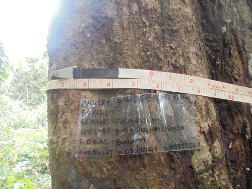 Balam Suntung
