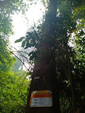 Balam Suntung